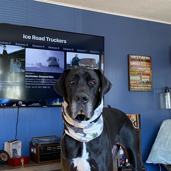 Hello! If you are here, thank you for checking out my page. I appreciate you! 🧡 - Picture 12 of 16